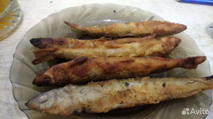 Свежая корюшка малоротка Сахалин