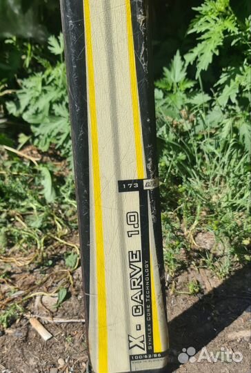 Горные лыжи