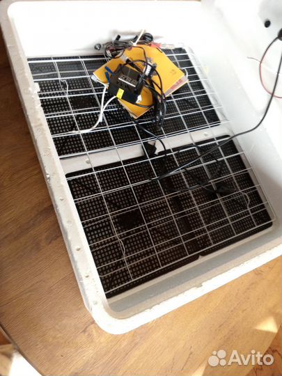 Инкубатор несушка на 77 яиц