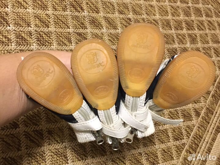 Кеды для собачки