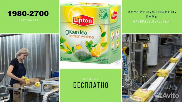 Вахта Москва Упаковщик чая с проживанием и питание