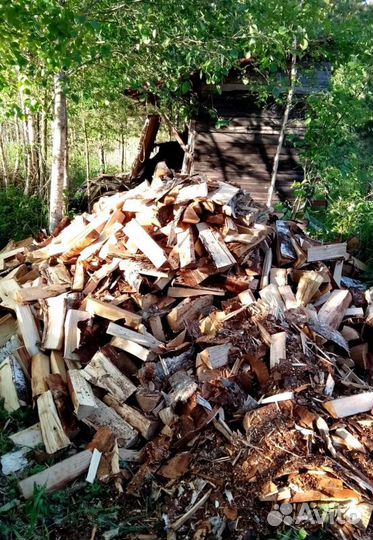 Дрова с доставкой по области любые