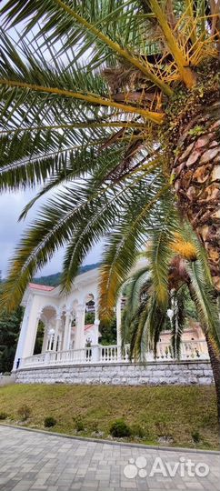 Золотое кольцо Абхазии