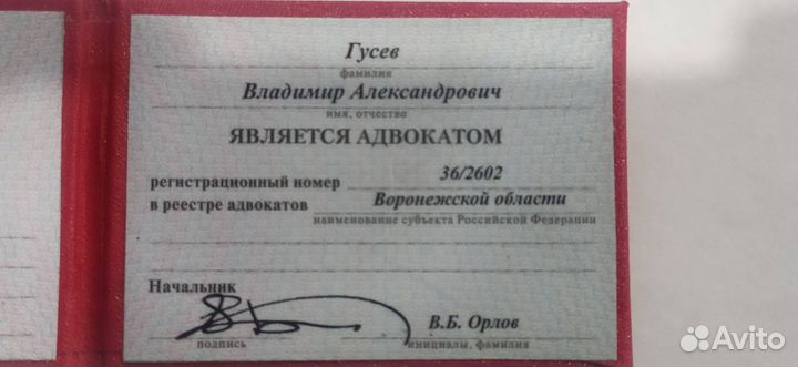 Адвокат по уголовным делам