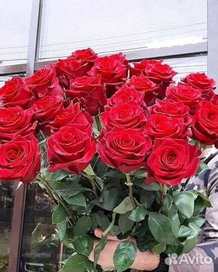 Розы Цветы Букеты 25 51 151 201 101 301 501 опт