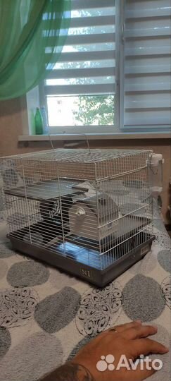 Клетка для грызунов большая