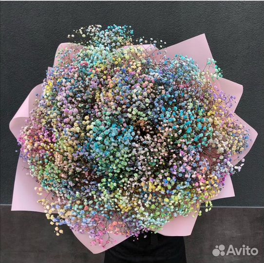 Гипсофила разных цветов с WOW-эффектом