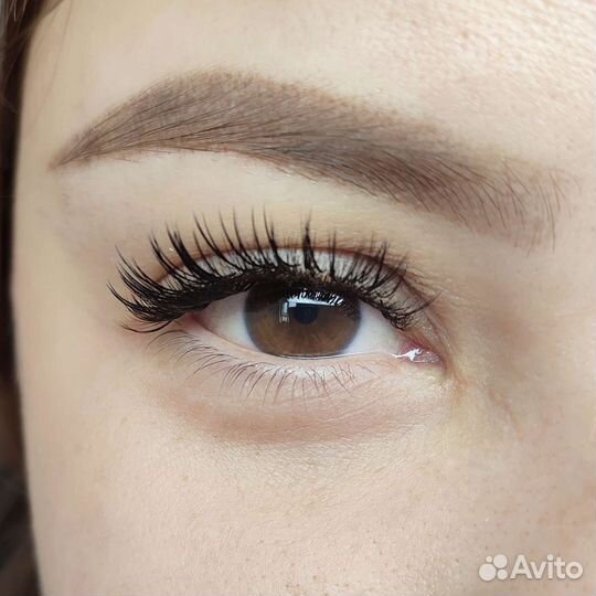 Архитектура бровей