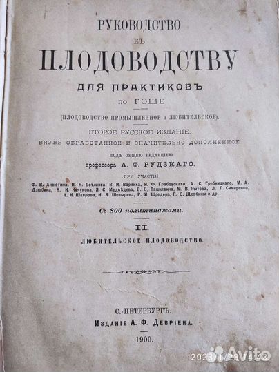 Коллекционирование, антиквариат