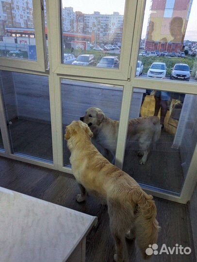 Алюминиевые и пластиковые окна под ключ