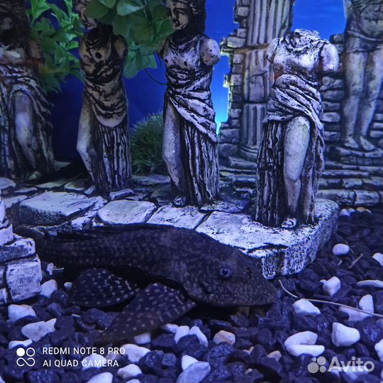 Аквариум с тумбой 360 литров