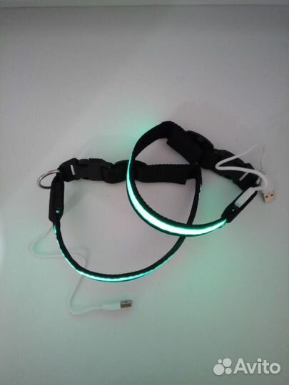LED Светящийся Ошейник с USB зарядкой