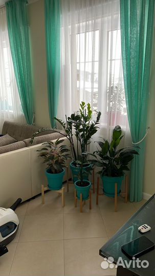 Шторы портьеры бу