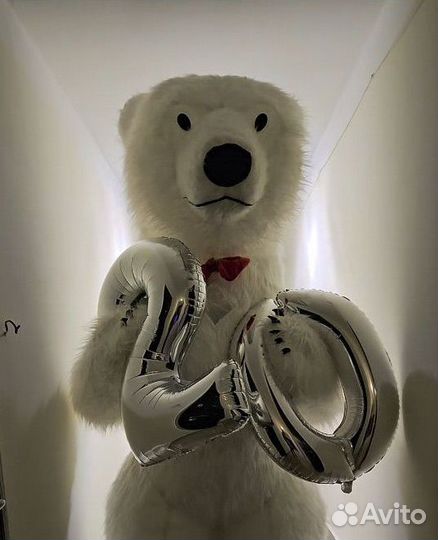 Белый мишка поздравление ростовой медведь аниматор