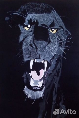 Рисунок, Оскал пантеры