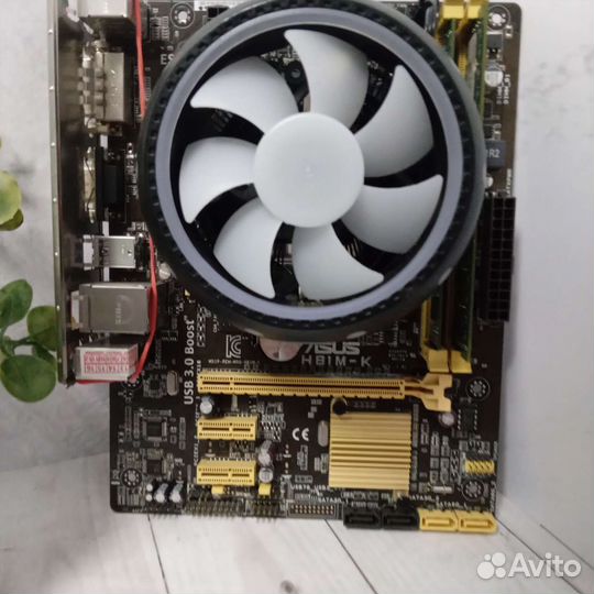 Материнская плата Asus h81m lga 1150 проц i3 4130