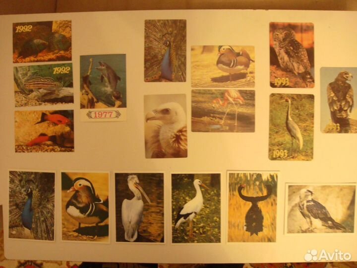 Календари Серии 