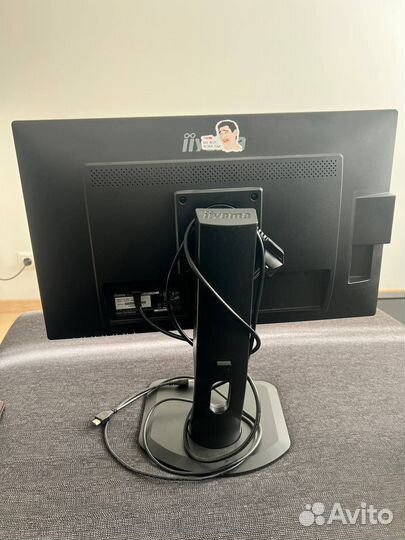 Монитор iiyama