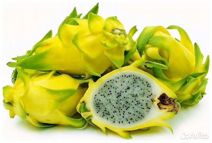 Питахайя лимонная семена