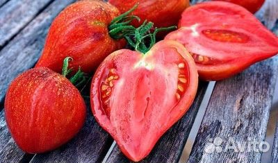 Семена томатов + коллекционные, перец острый