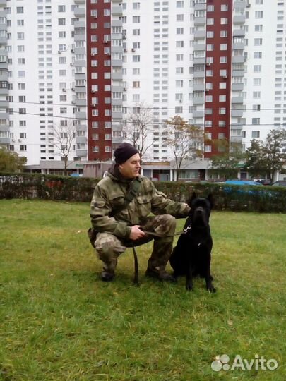 Кинолог, зоопсихолог. Дрессировка, консультации