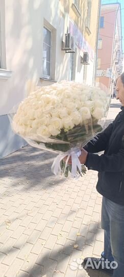 Букет из 101 розы. Цветы с доставкой