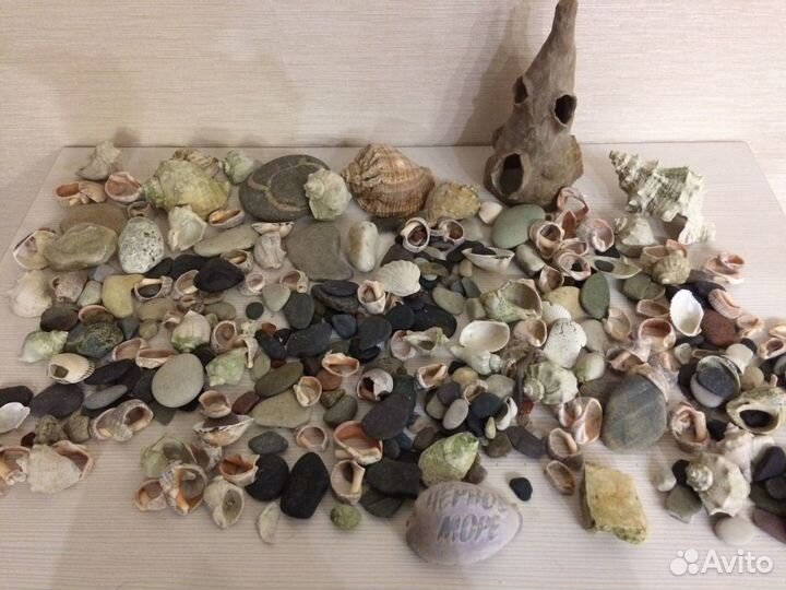 Аквариум и товары для аквариума