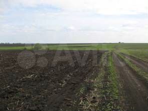 Участок 1,98 га (ИЖС)