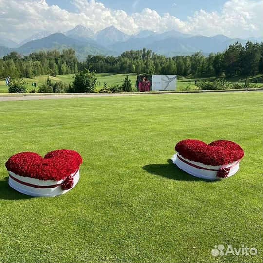 Мега букет из роз