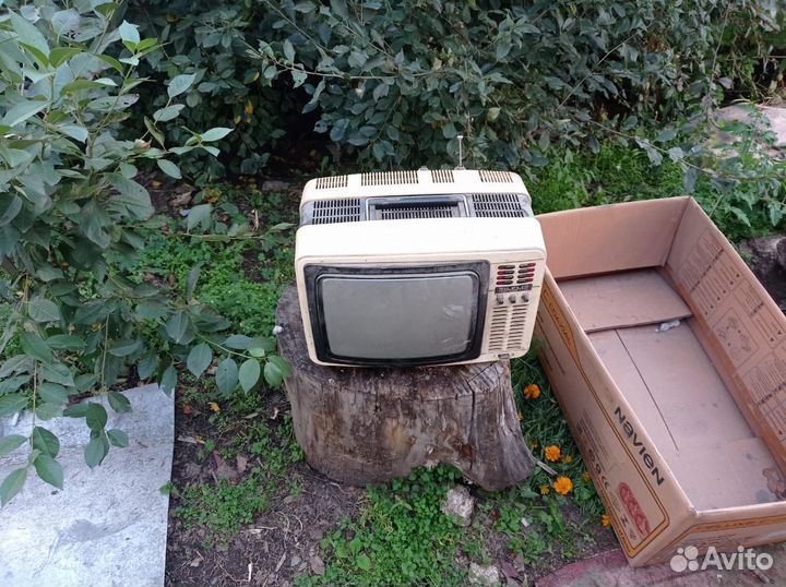 Телевизор Шилялис S 410 D