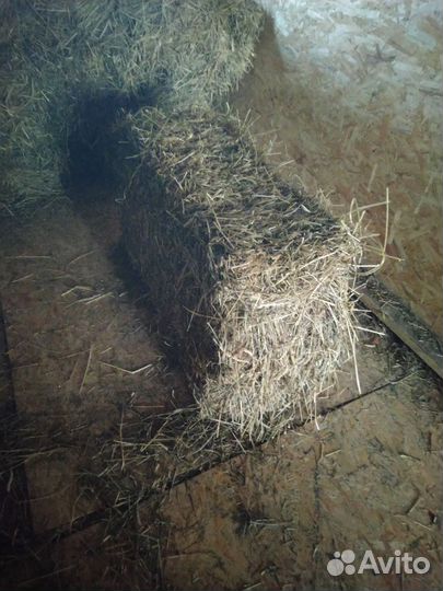 Сено в тюках