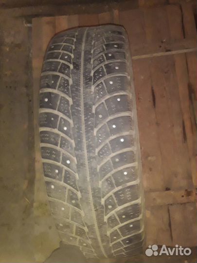 Gislaved Euro Frost 5 175/65 R14
