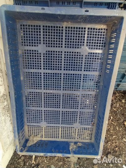 Пластиковые ящики бу