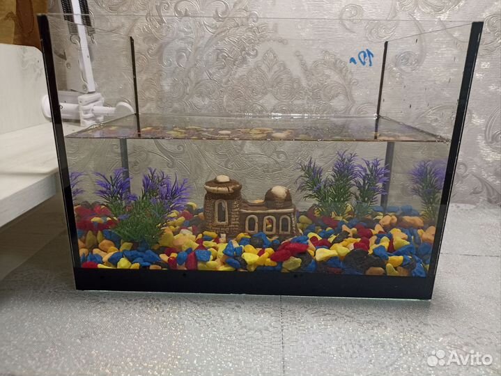 Аквариум 10л с рыбками