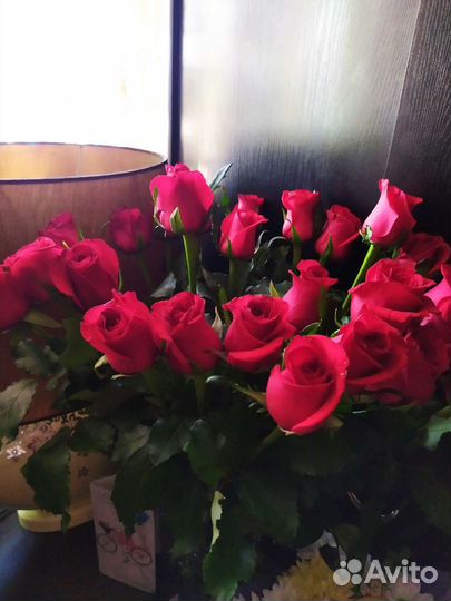25роз дина60см