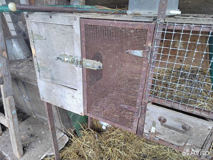 Клетка для кролика