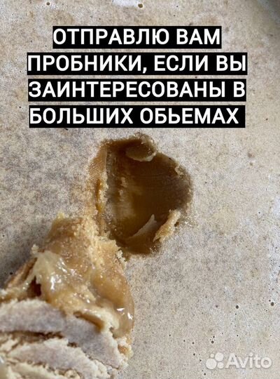 Мед оптом с Алтая от 0.5 Тонн