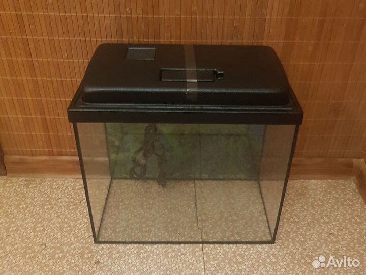 Аквариумистика, аквариумы