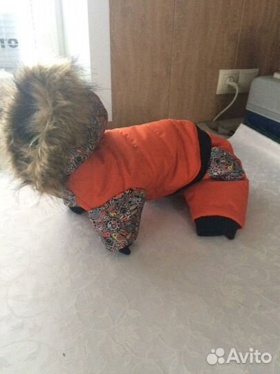 Одежда для животных