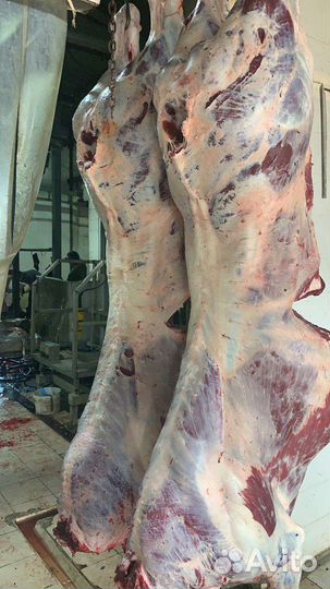 Мясо Говядина и Баранина ''Халяль''