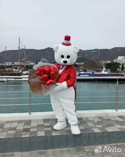 Аниматоры, ростовые куклы мишка тедди