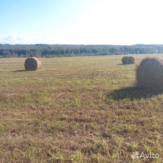 Продажа сена в рулонах