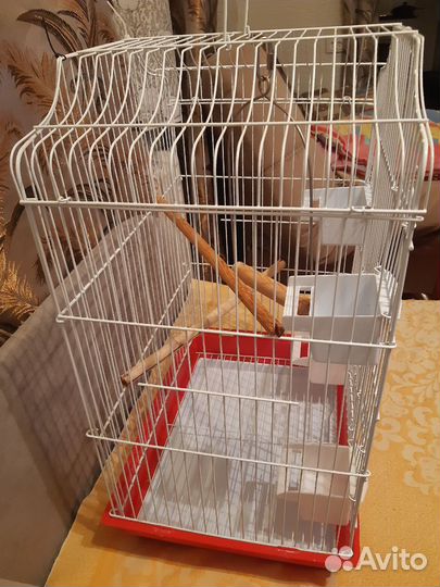 Клетка для попугая корелла