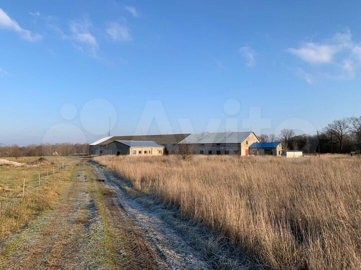 Участок 90 сот. (СНТ, ДНП)