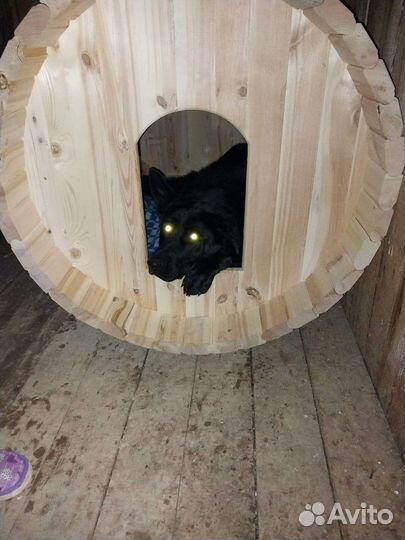 Будка для собаки