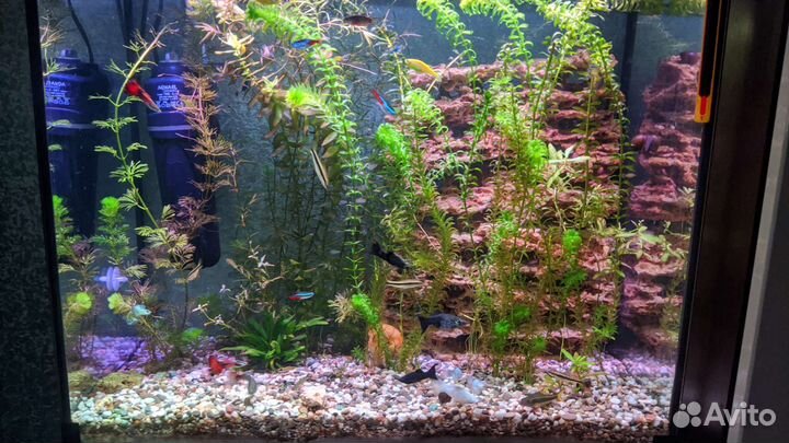 Светильник для аквариума