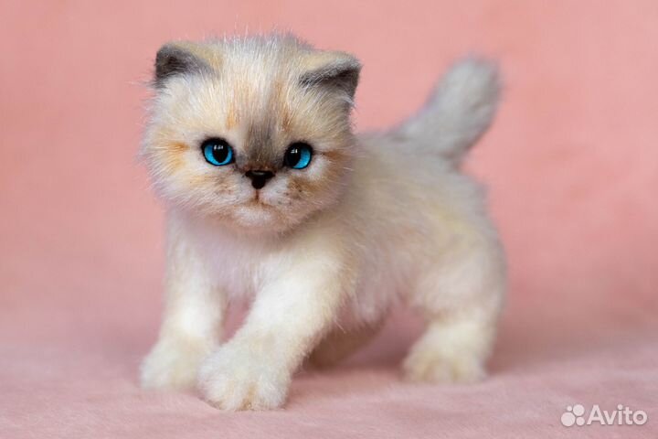 Мягкая игрушка Котенок ручной работы