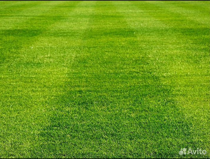 Газон рулонный от производителя спортивный