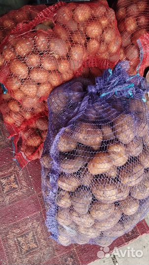 Продам картофель домашний
