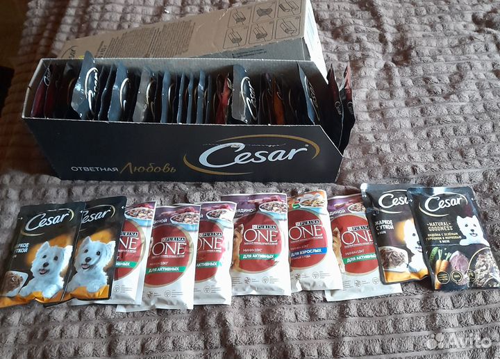 43пакетика влажного корма для собакЦезарь и Пурина